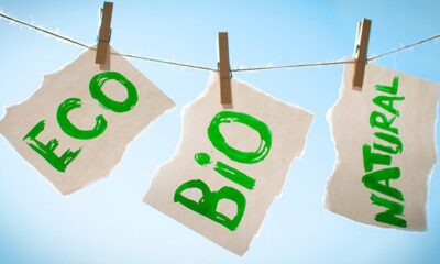 Adiós al 'Greenwashing'- Guía para empresas sobre la normativa de bolsas plásticas y biodegradables en 2026