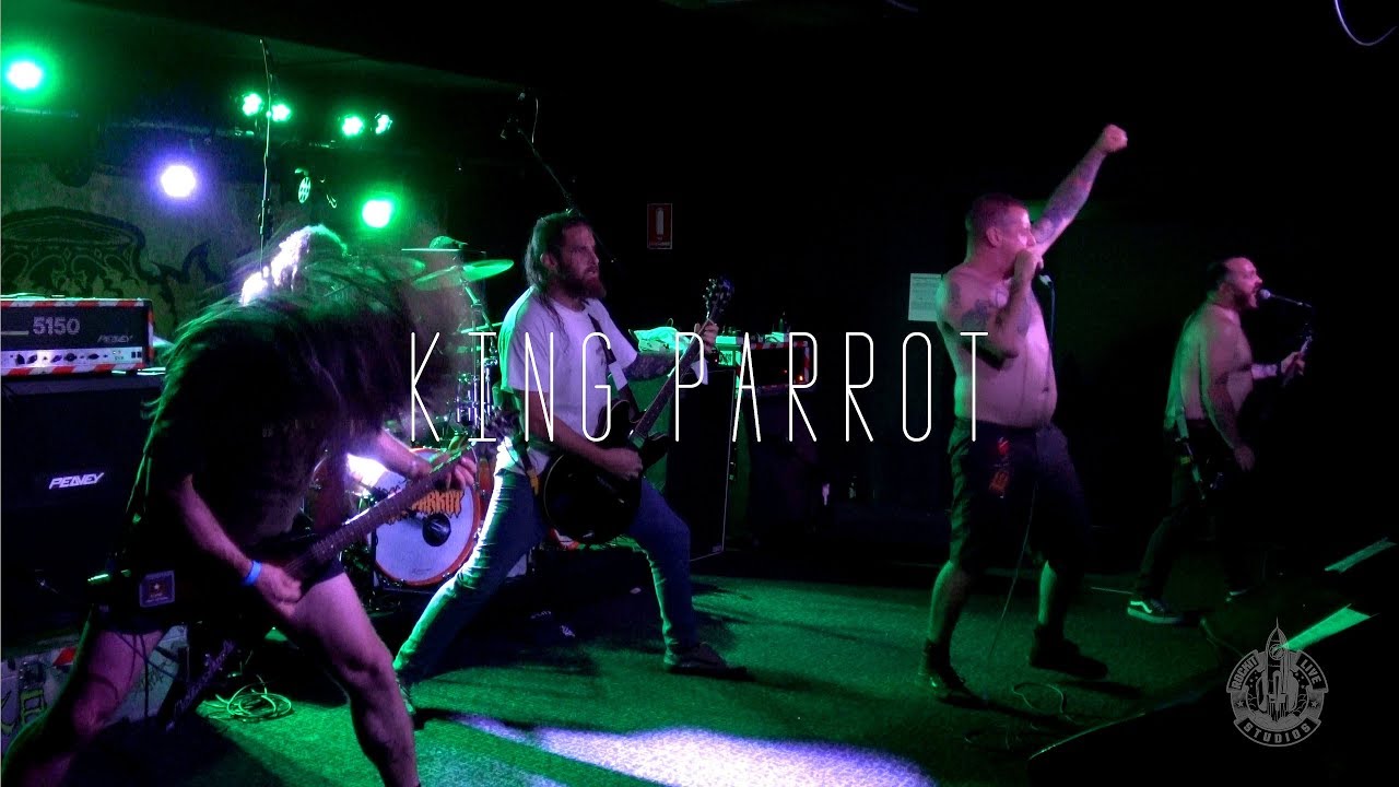 king parrot gira reino unido