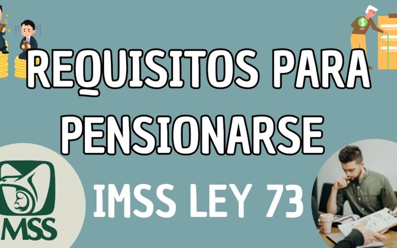 Guía completa para tramitar la Pensión IMSS Ley 73 paso a paso