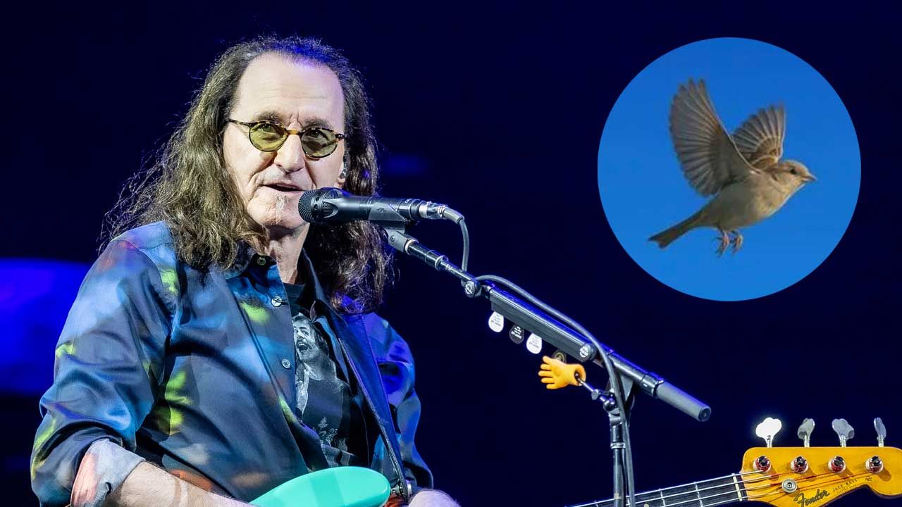 Geddy Lee relata un misterioso encuentro con un ave tras la partida de Neil Peart