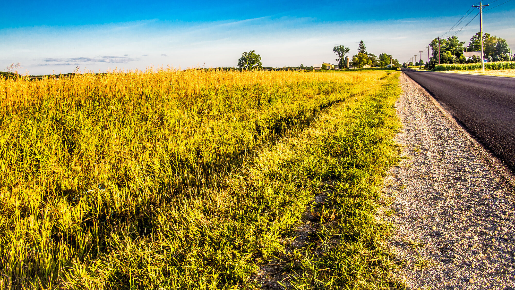 Paisaje rural de Michigan, estado natal de Greta Van Fleet