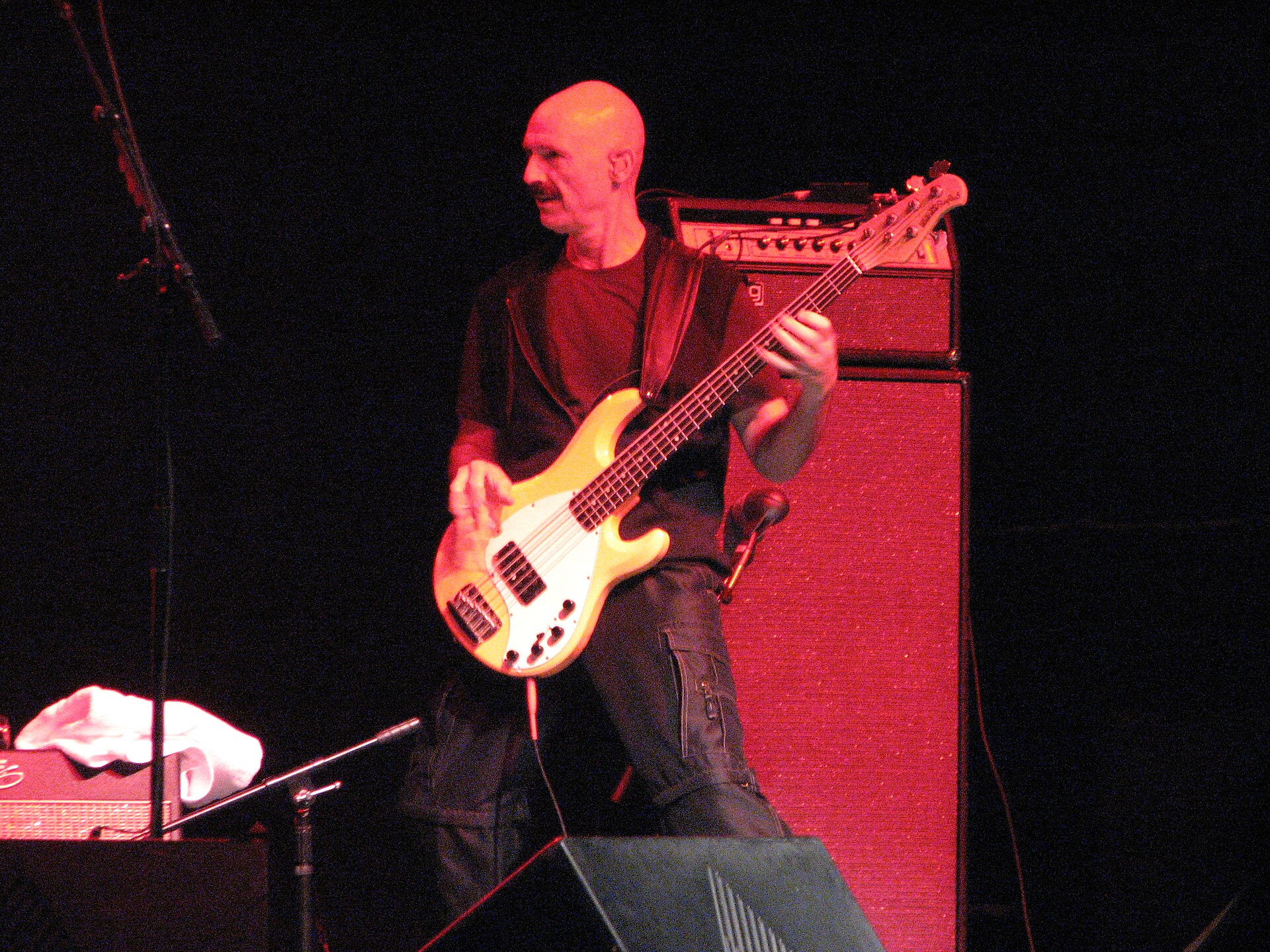 Tony Levin tocando el bajo, integrante de la banda de Peter Gabriel en el disco o\i